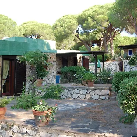Pineta E Mare Villa *